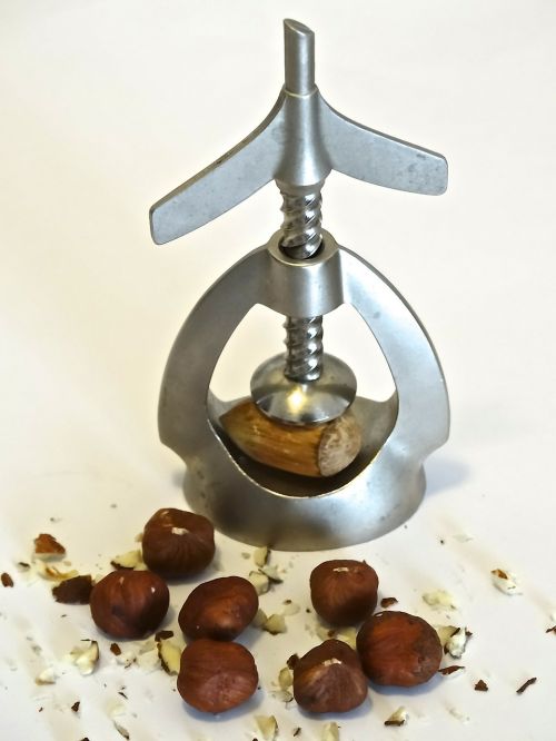 nutcracker nuts hazelnuts