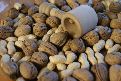 nutcracker tree nut peanut
