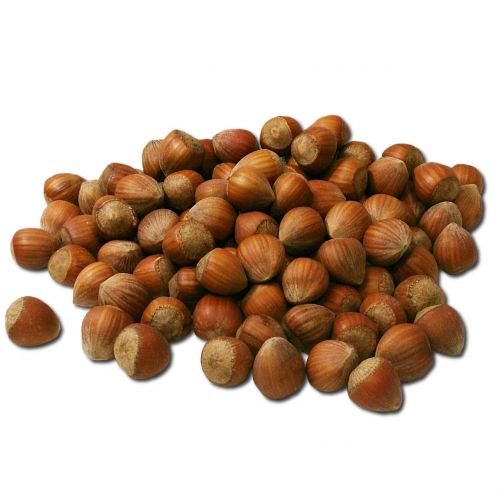 nuts hazelnuts food