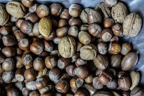 nuts hazelnuts walnuts