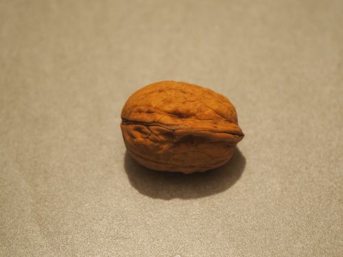nuts brown fruit