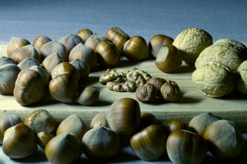 nuts italian hazelnuts
