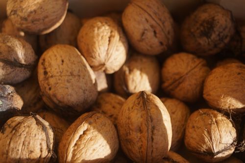 nuts walnuts brown