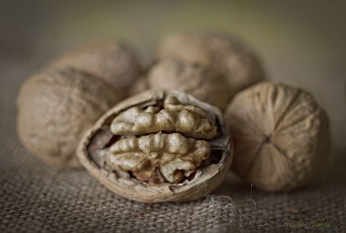 nuts detail maron