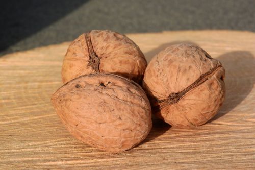 nuts walnuts shell
