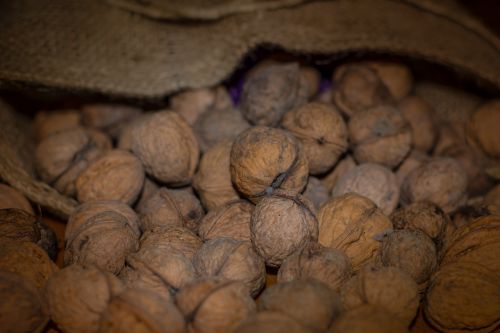 nuts walnuts bag