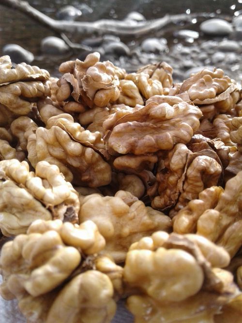 nuts river organic
