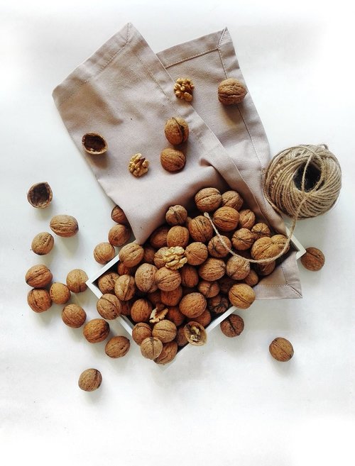 nuts  walnut  food