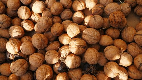 nuts  walnuts  food