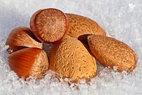 nuts  snow  hazelnuts
