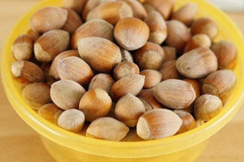 nuts hazelnuts many