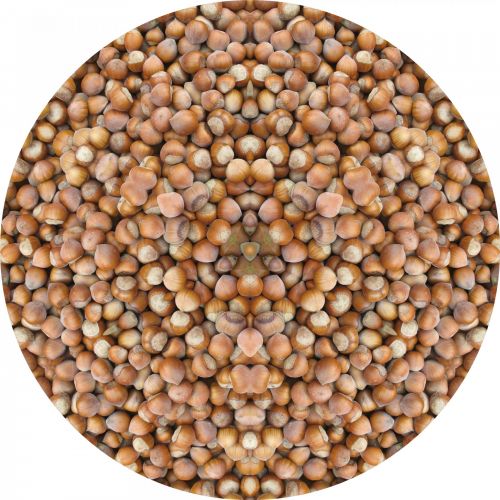 Nuts In A Circle