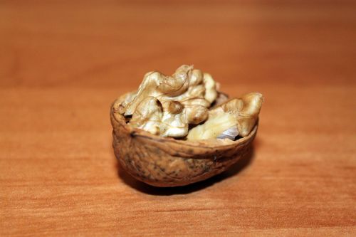 nutshell ship walnut