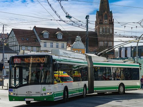 o - bus bus trolley bus