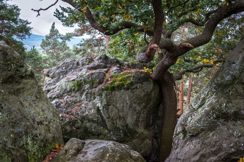 oak rock devil's wall