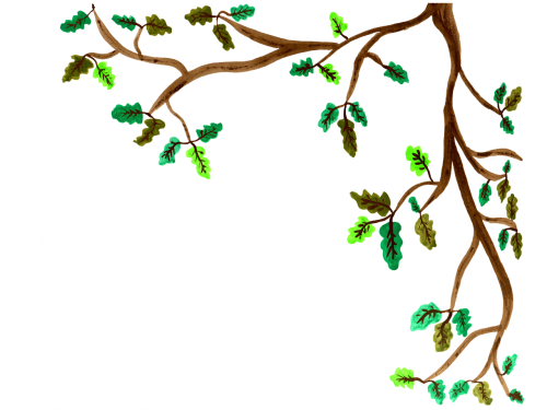 oak branch watercolor