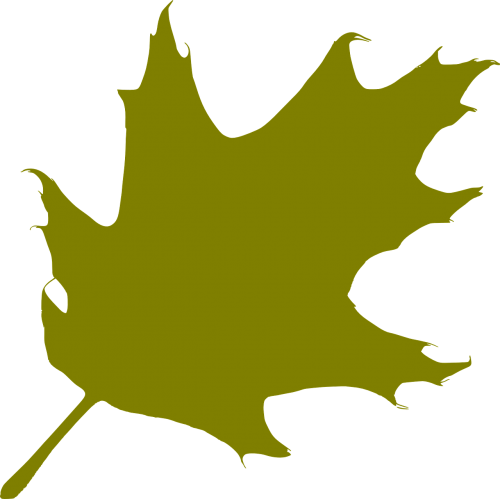 oak leaf green