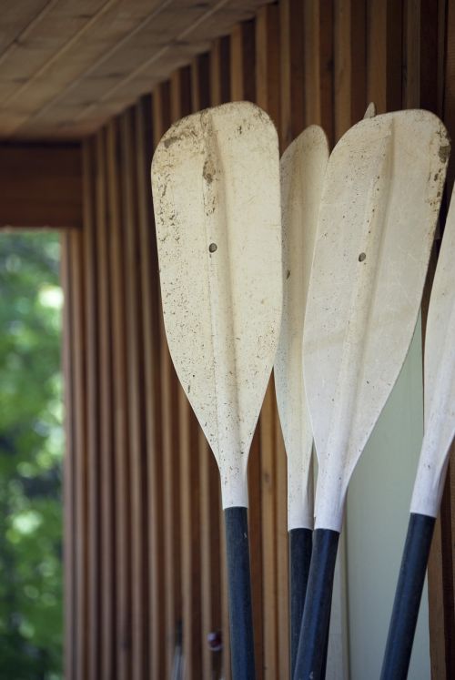 oars canoe paddle