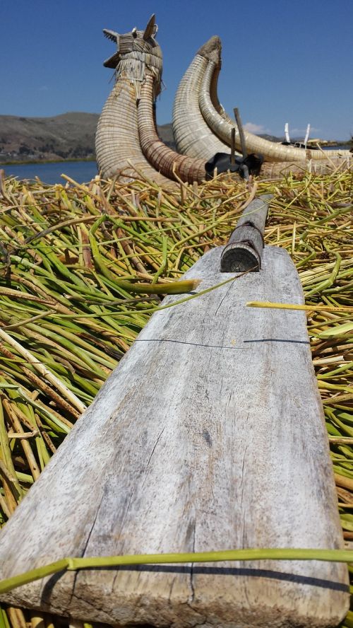 oars reeds boat