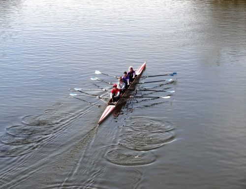 oarsmanship rowing boat