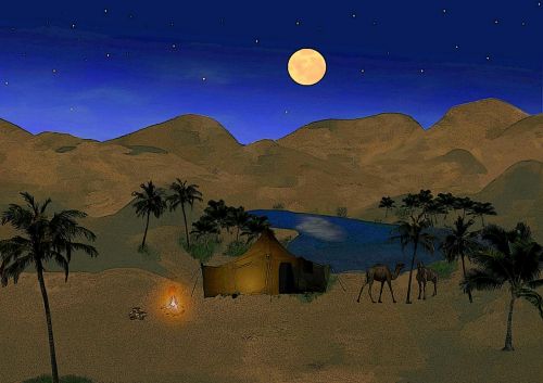 oasis moon night
