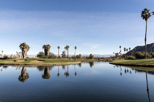 oasis desert resort