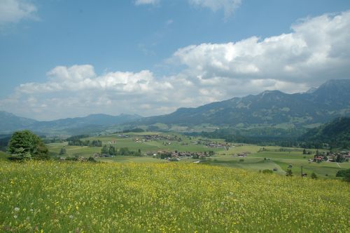 obermaiselstein alpine wildlife park view