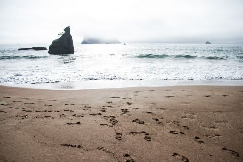 ocean sand foggy