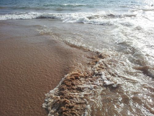 ocean hawaii beach