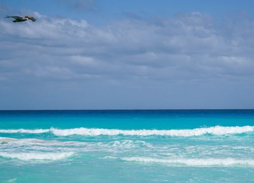 ocean cancun mexico