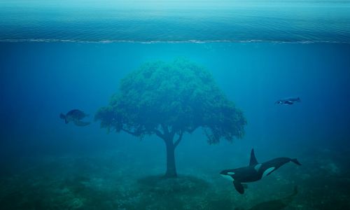 ocean tree fantasy