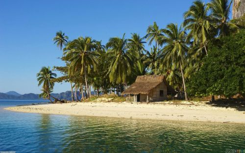 ocean swim nipa hut