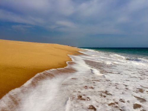 ocean arabian sand gold