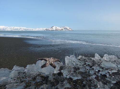 ocean beach coast