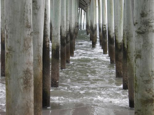 ocean dock pillars