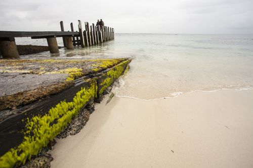 ocean pier water