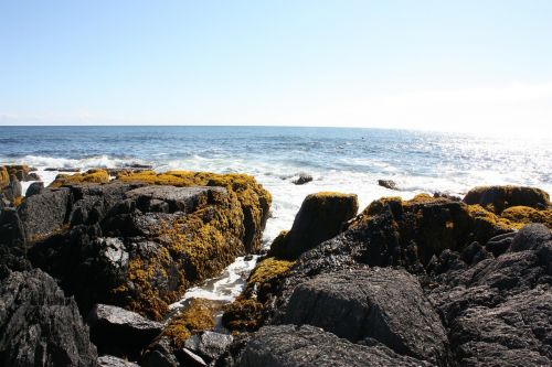 ocean rocks coastline
