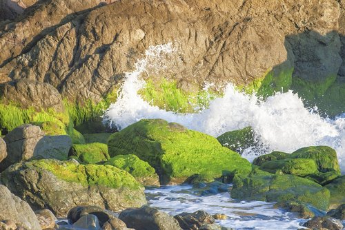 ocean  rock  coast