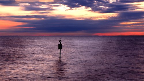 ocean  water  sunset