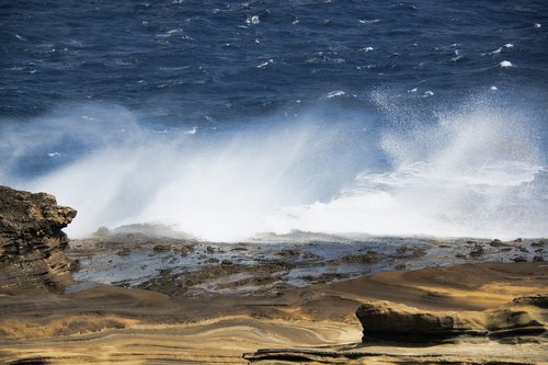 ocean  sea  hawaii