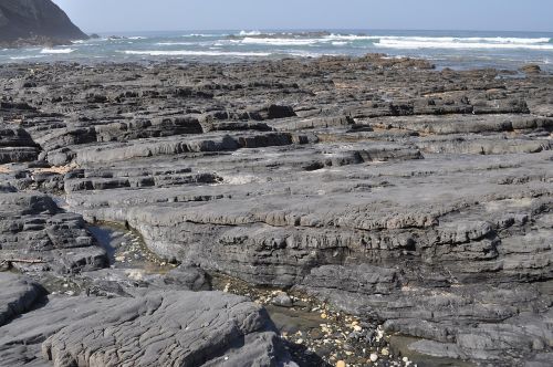 ocean rocky coast sea