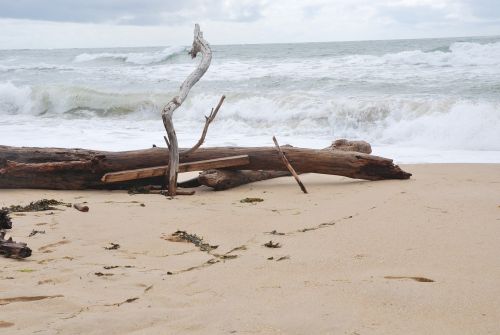 ocean waves beach