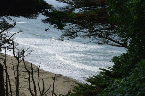 ocean beach california water