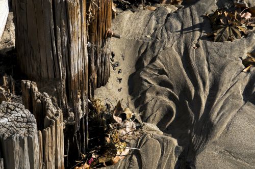 Ocean Sand And Wood Patterns