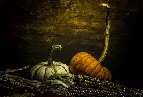 october  pumpkin  autumn