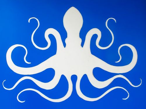 octopus sea creature street art