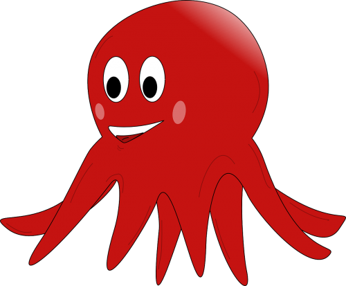octopus red squid
