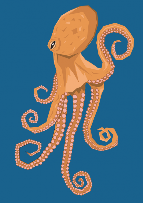 octopus water creature