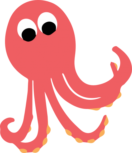 octopus creatures animal