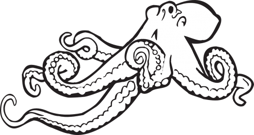octopus sketch drawing